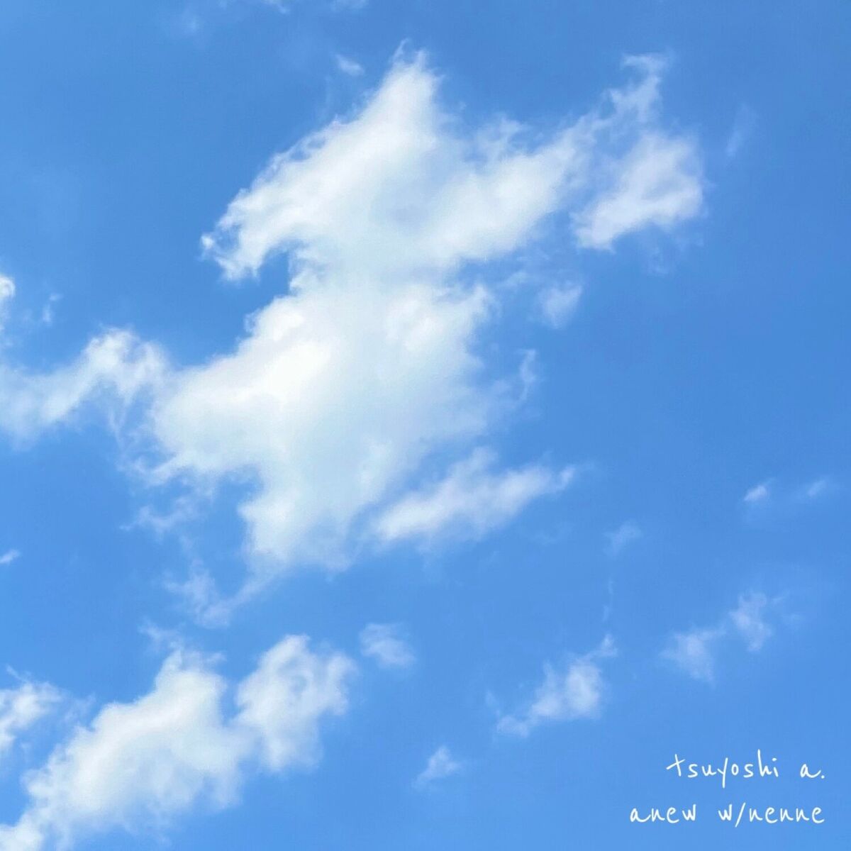 Album cover of anew