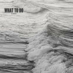 Cover of What to Do