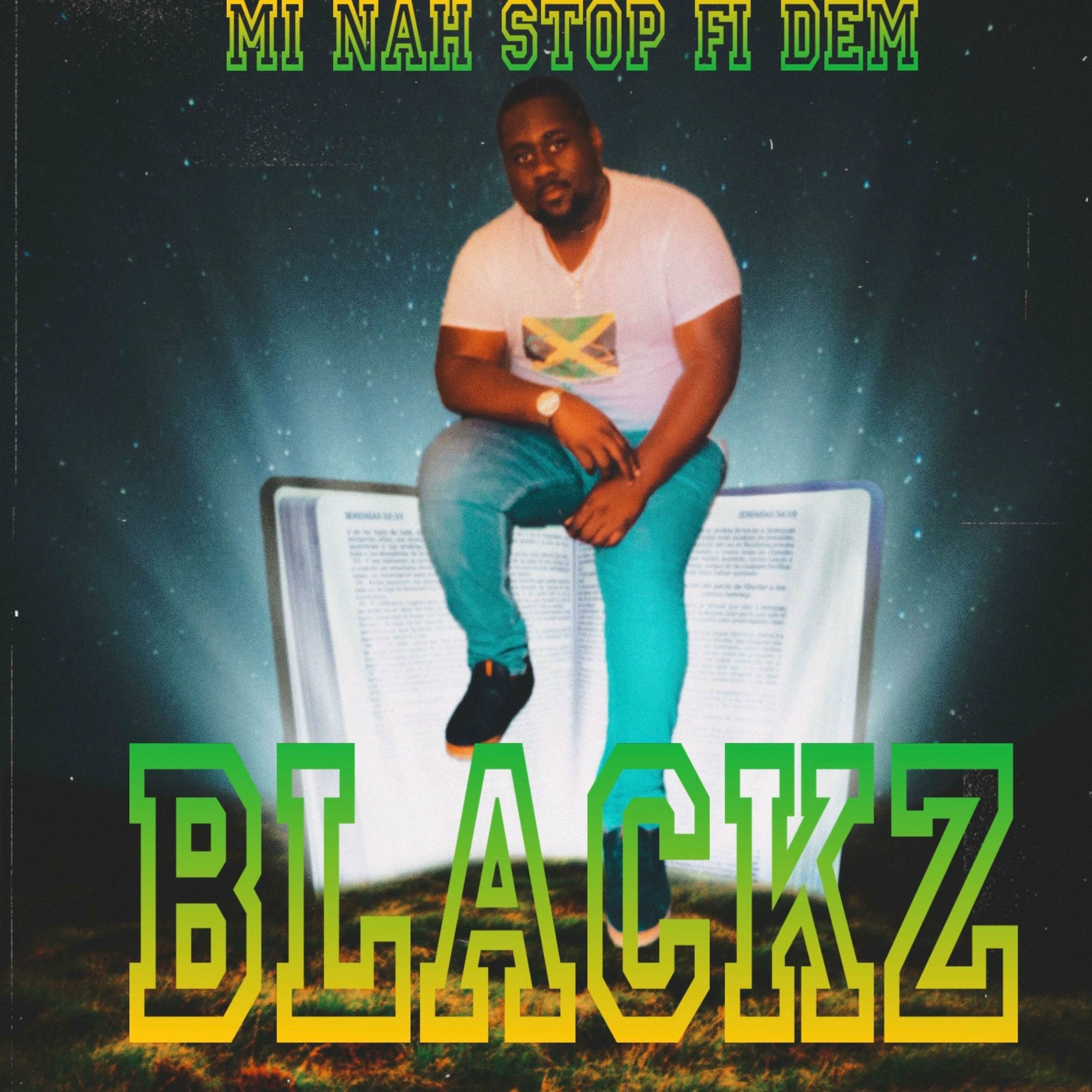 Album cover of Mi Nah Stop Fi Dem