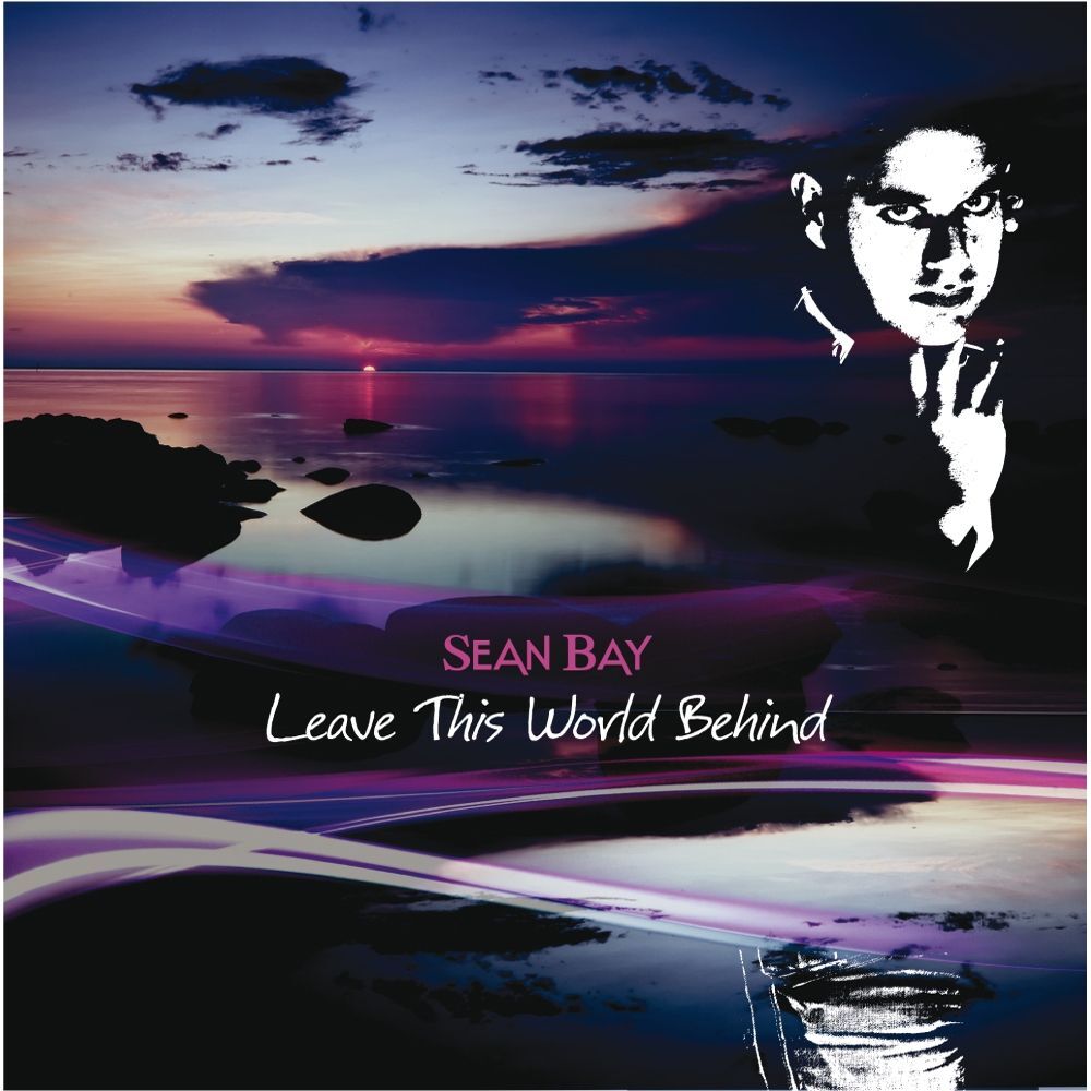 Picture of Leave This World Behind