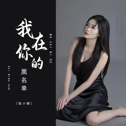 我在你的黑名单 (加快版)