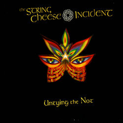 Cover of Untying the Not