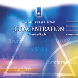 Cover of Musique d'immersion : Concentration (Harmonie corps/esprit)