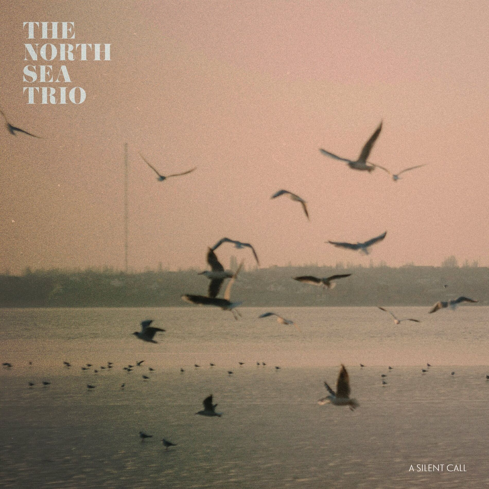 Album cover of A Silent Call