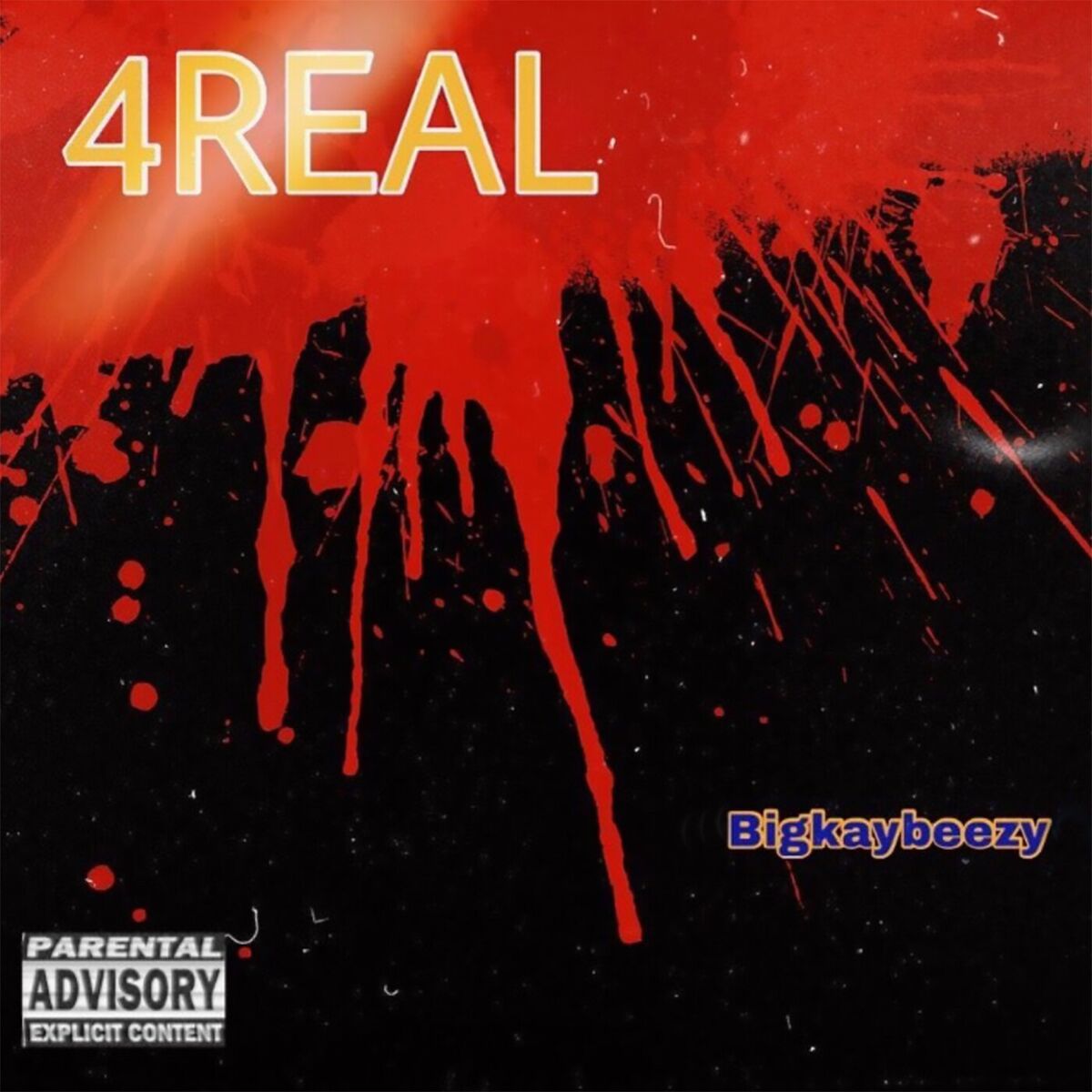 Album cover of 4REAL