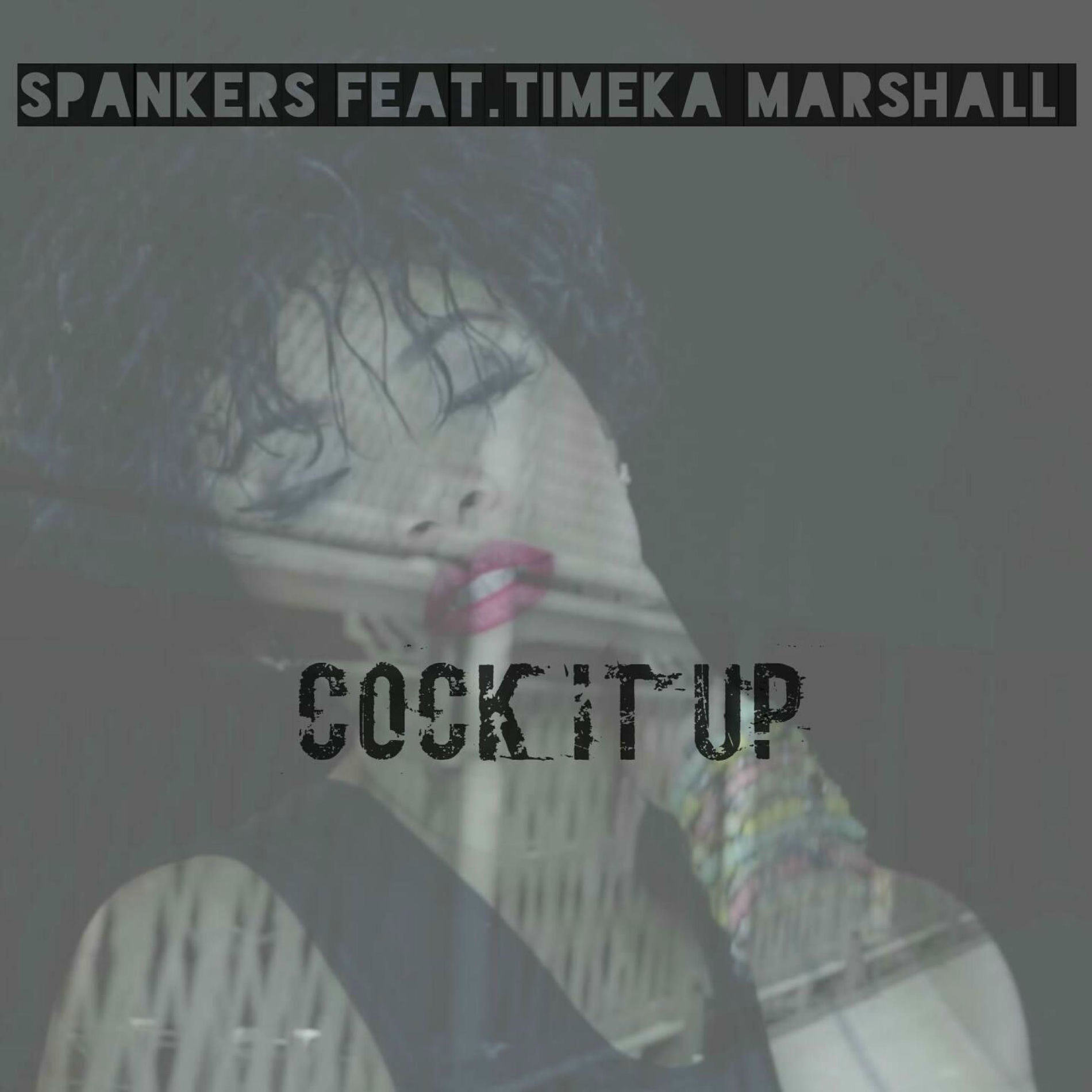 Album cover of Cock It Up (Ep)