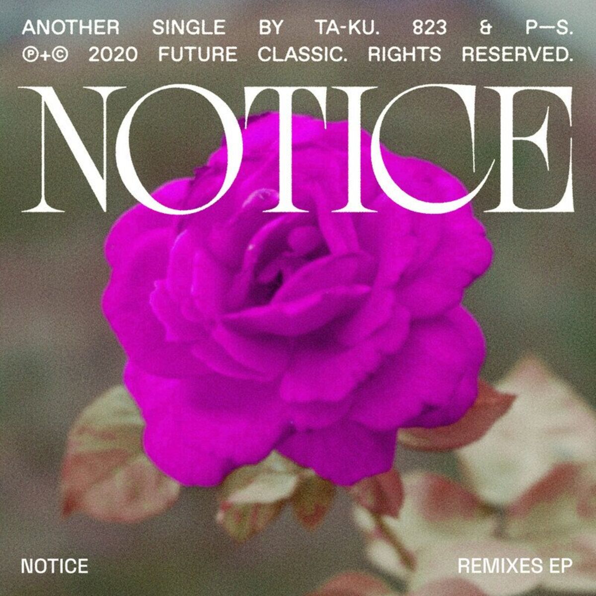 Album cover of Notice (Remixes)