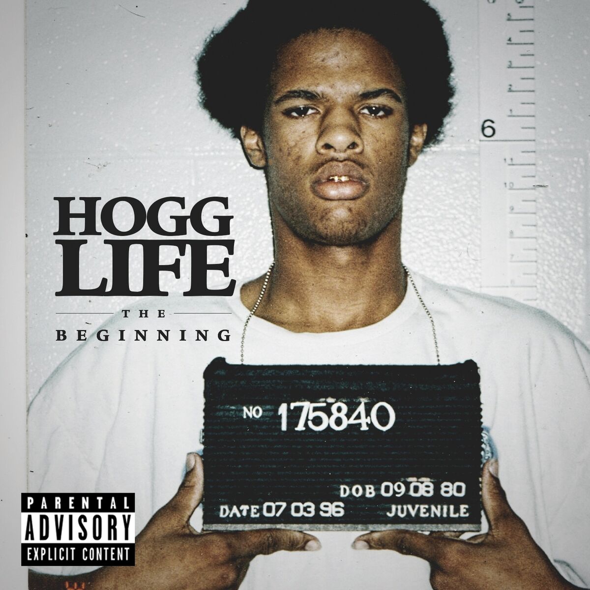 Album cover of Hogg Life: The Beginning