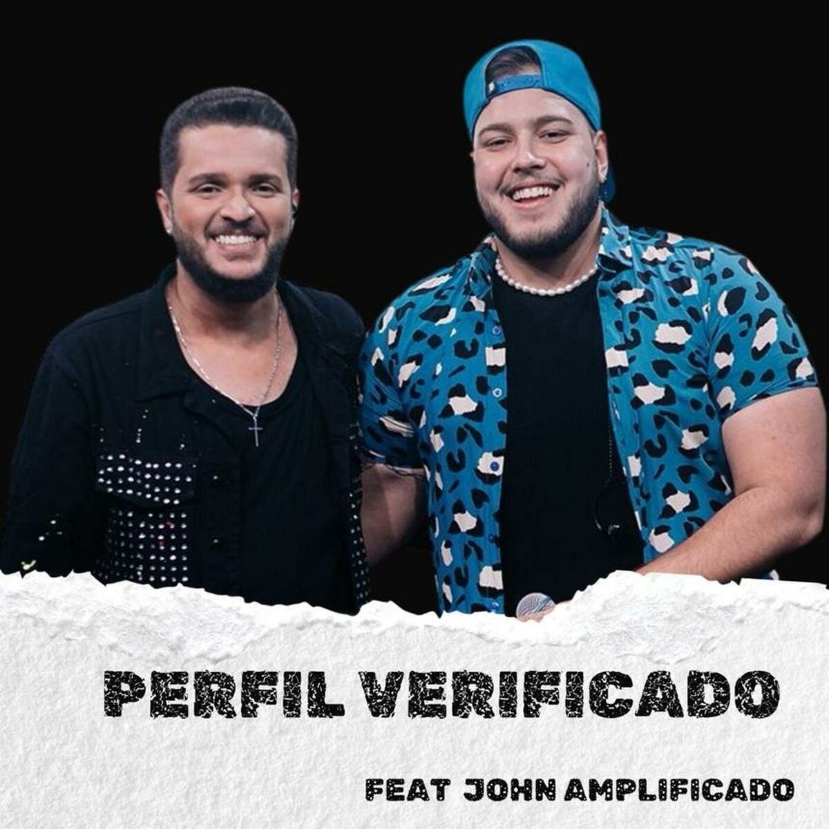 Album cover of Perfil Verificado