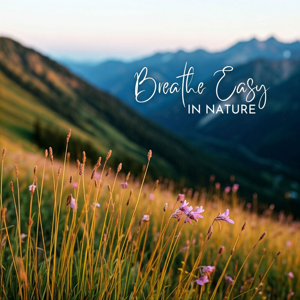 Picture of Breathe Easy in Nature: Reconnect and Recharge