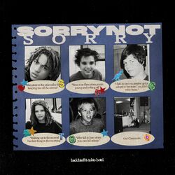 Cover of SORRY NOT SORRY