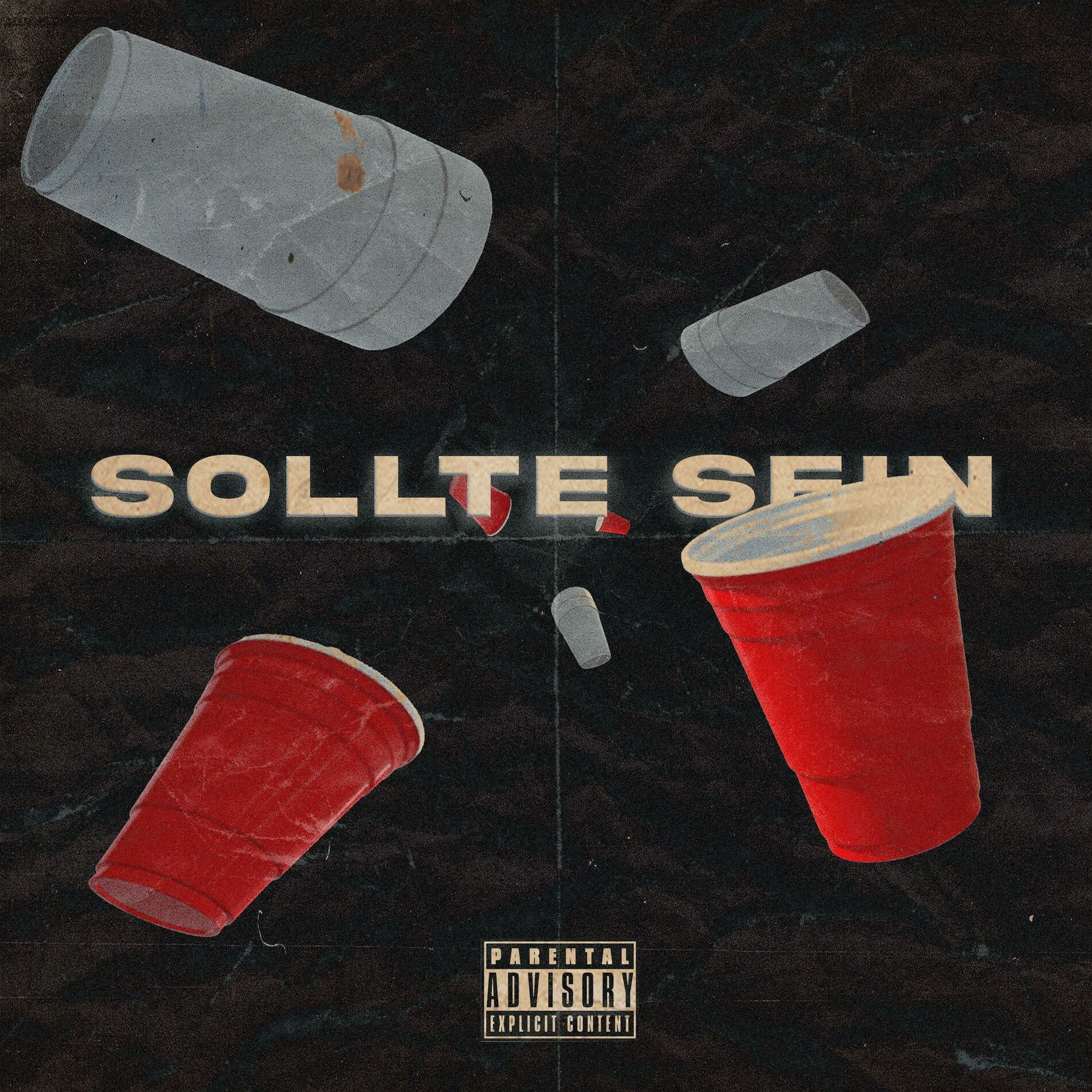 Album cover of Sollte sein (feat. TRACE)