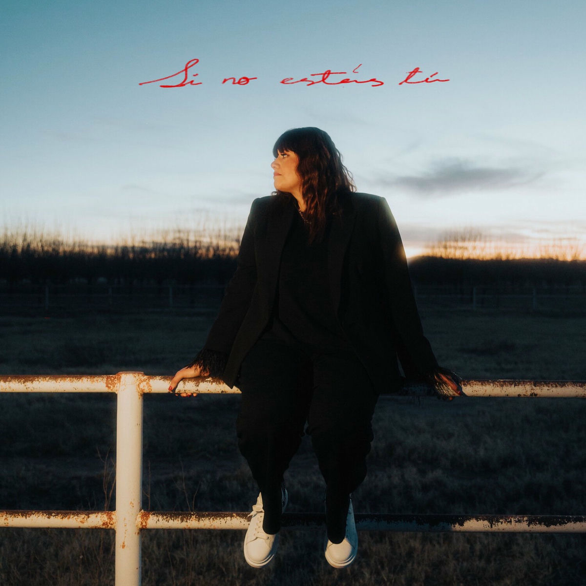 Album cover of Si No Estás Tú