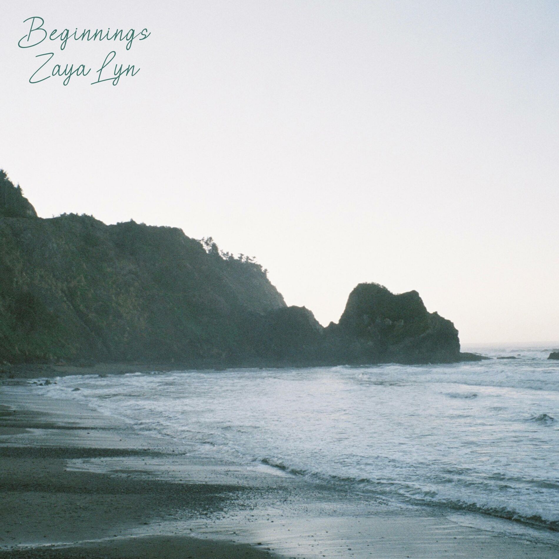Album cover of Beginnings