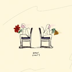 Cover of Straw Chairs