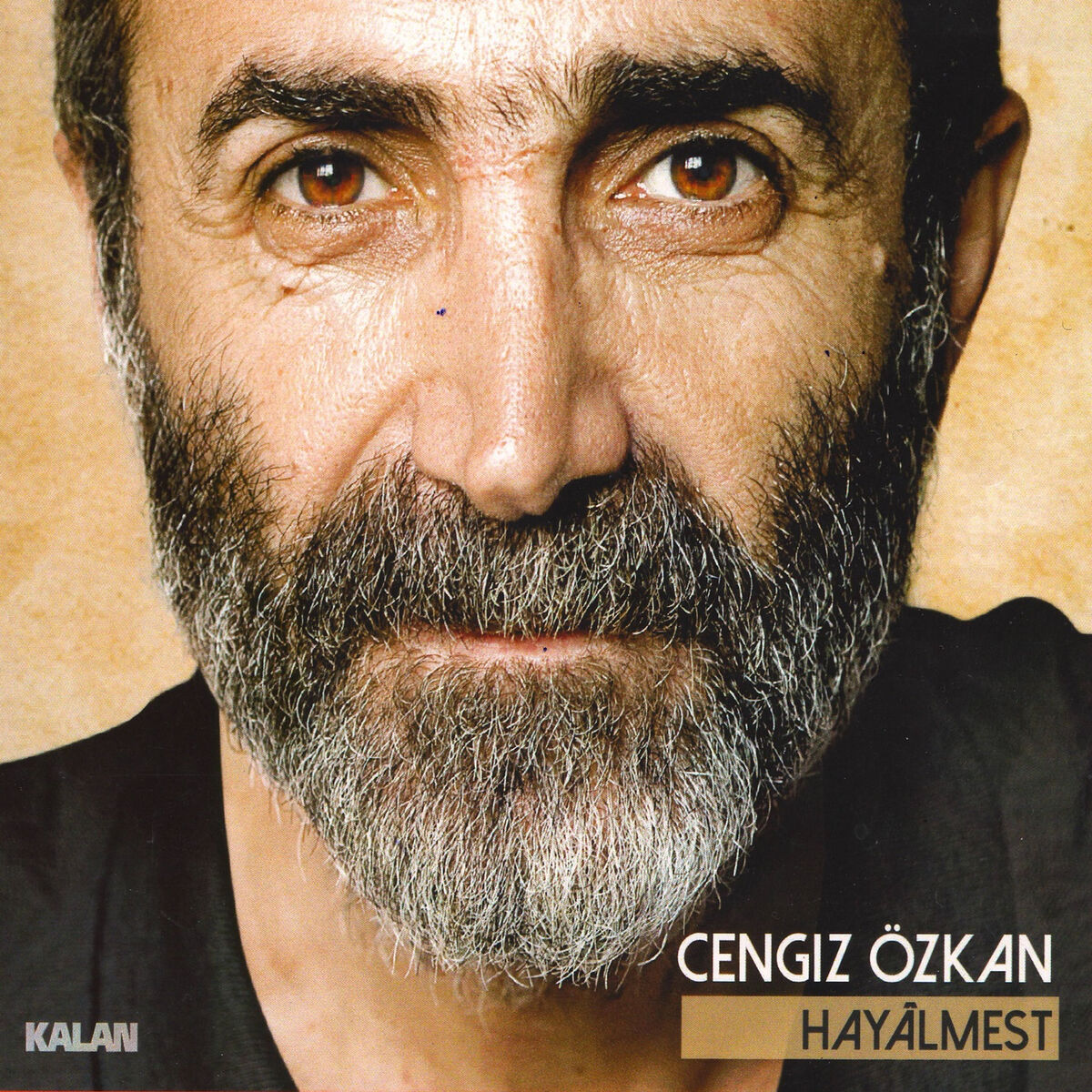 Album cover of Değme Felek