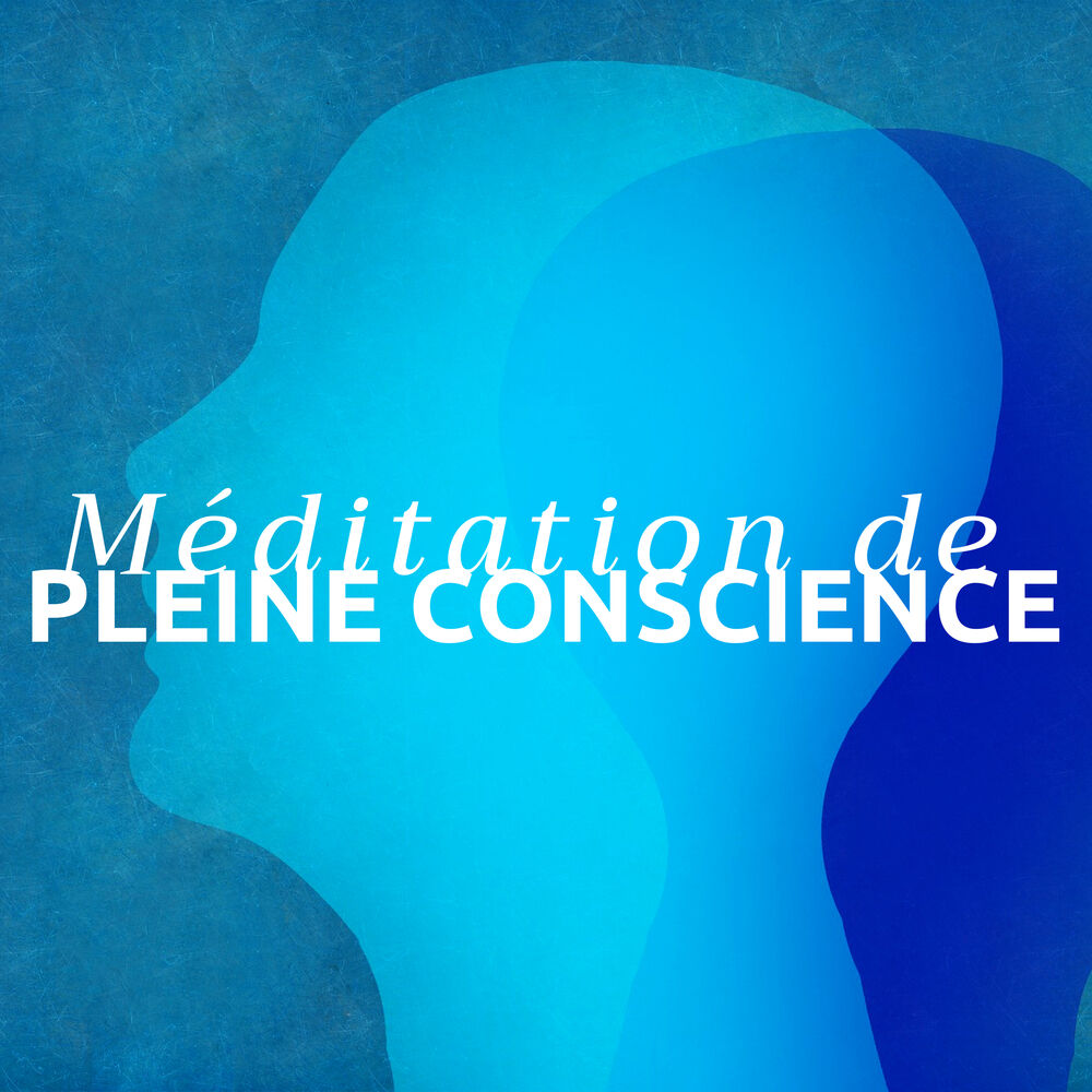 Picture of Méditation de Pleine Conscience 101