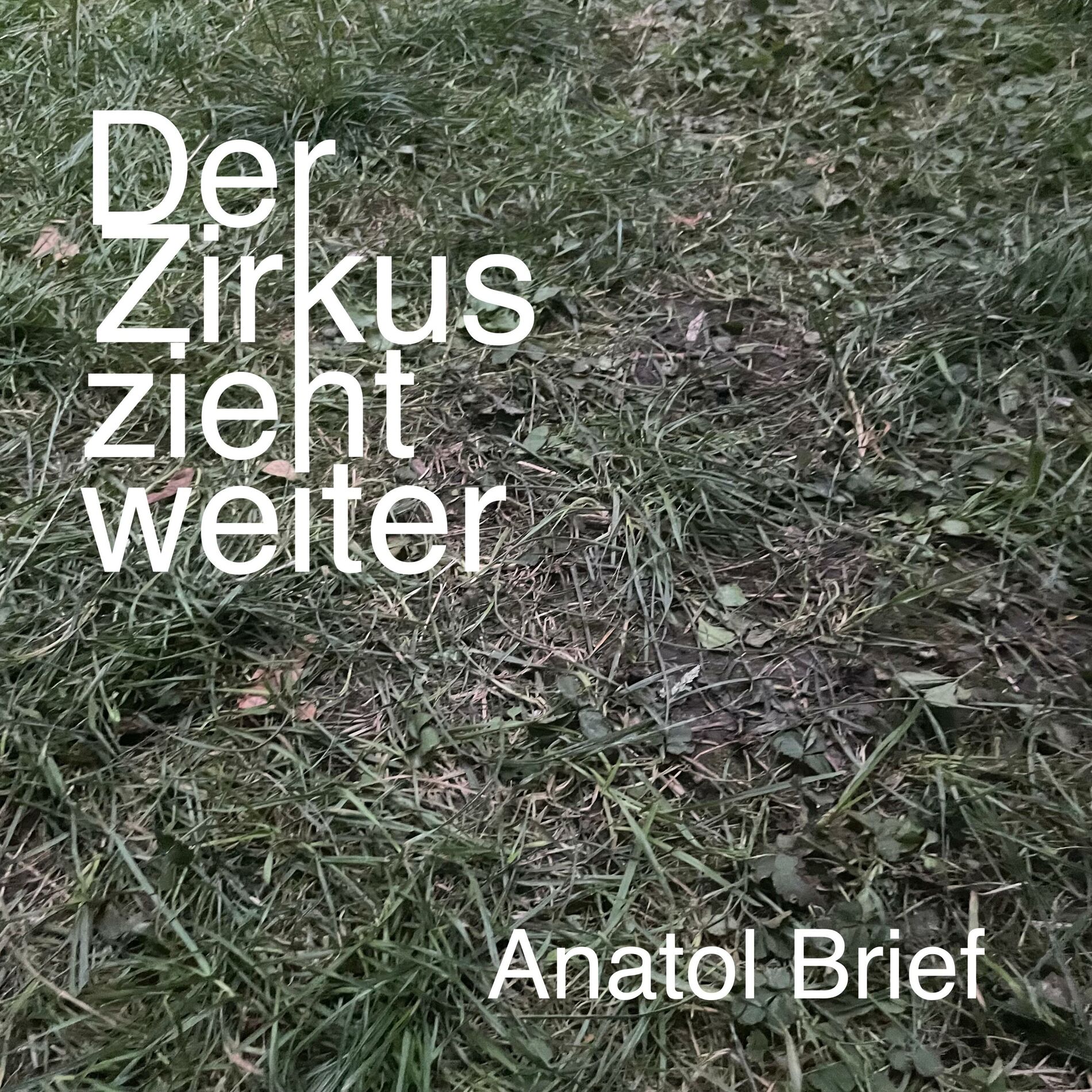 Album cover of Der Zirkus zieht weiter