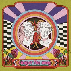 Cover of Forget the Name