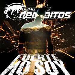 Cover of Fuerte No Soy