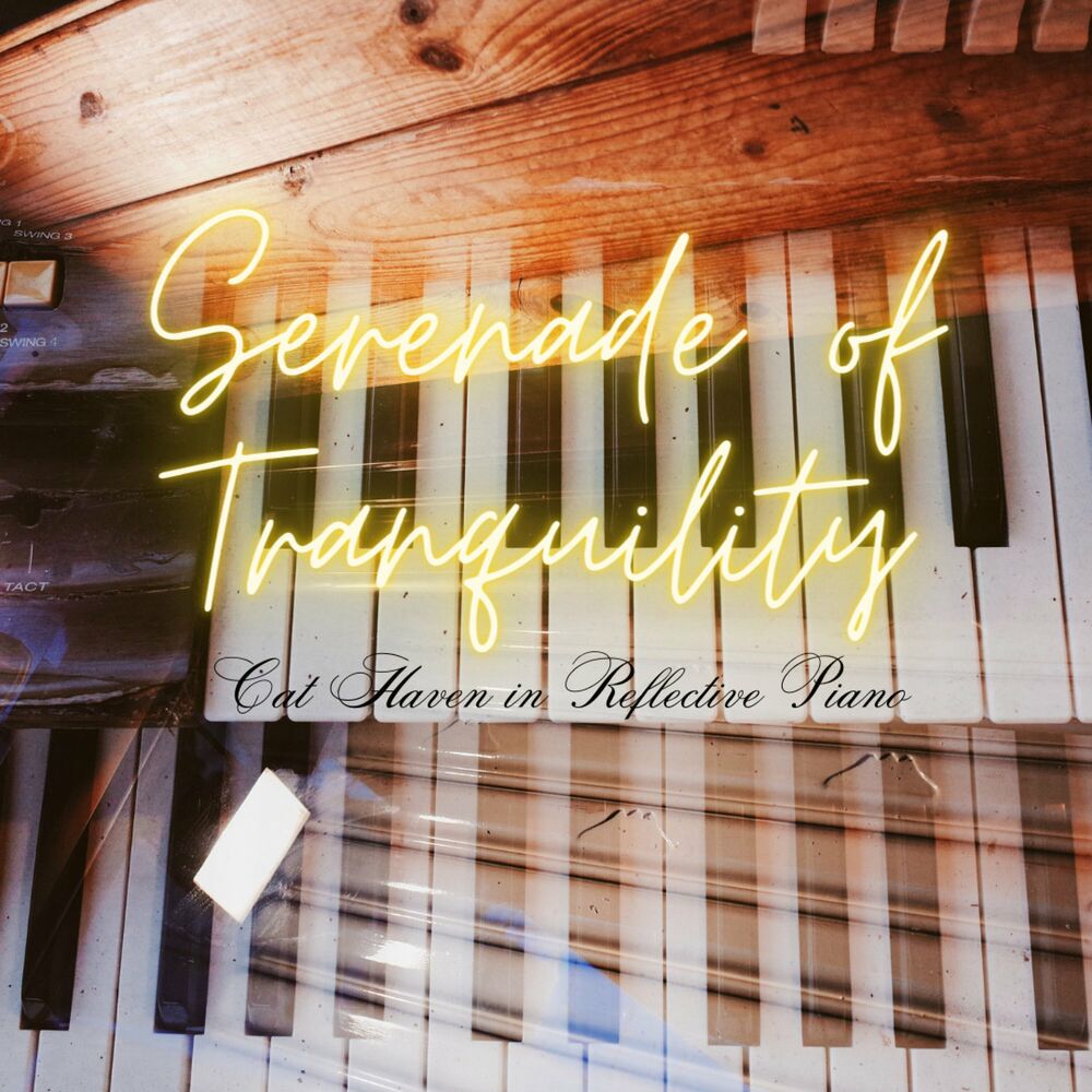 Picture of Serenade of Tranquility: Cat Haven in Reflective Piano