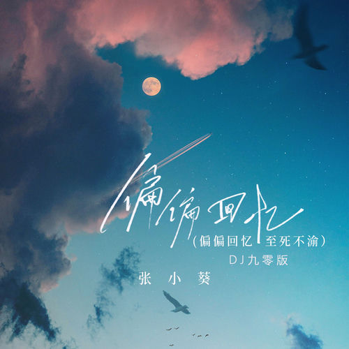 偏偏回忆(偏偏回忆至死不渝)(DJ九零版)