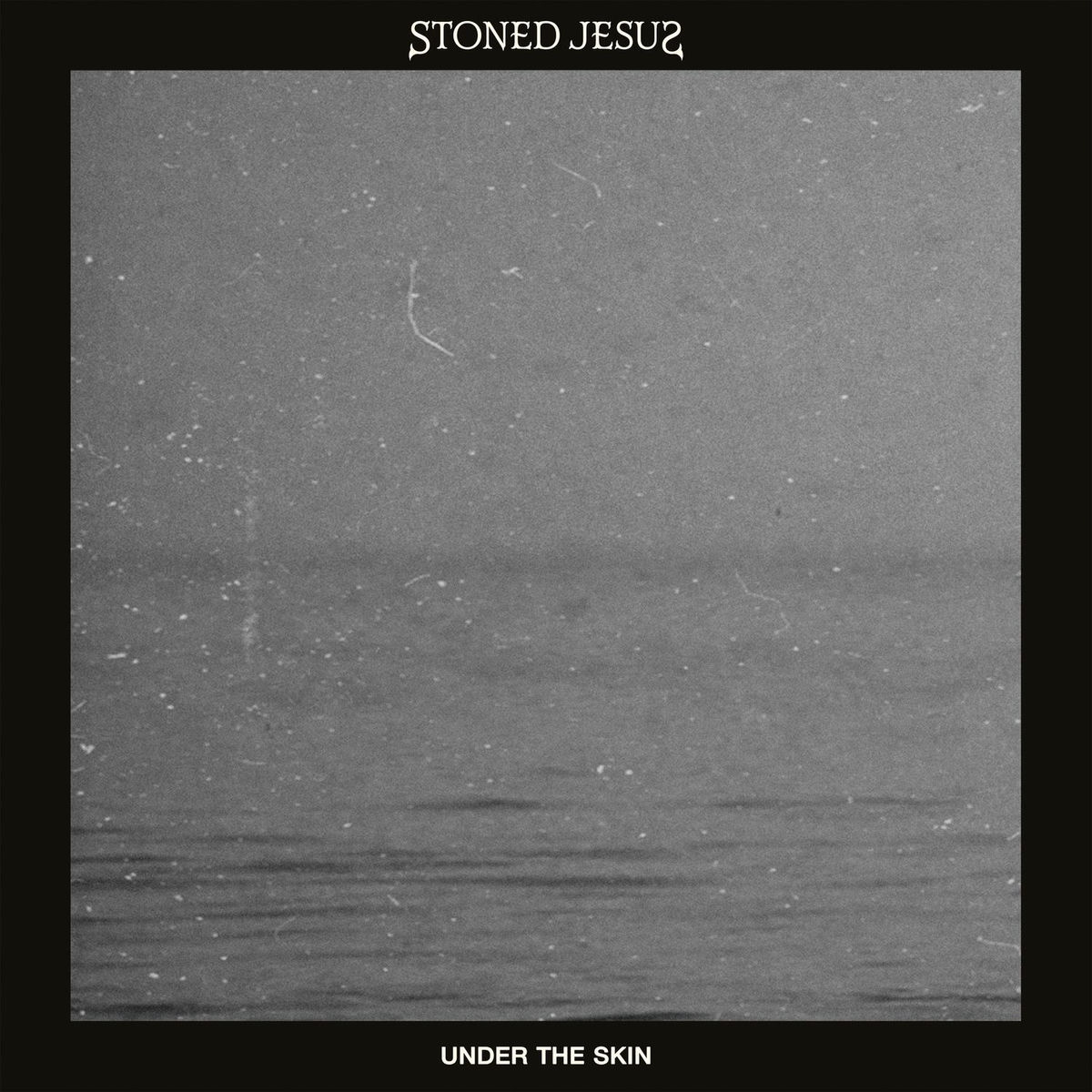 Album cover of Under the Skin