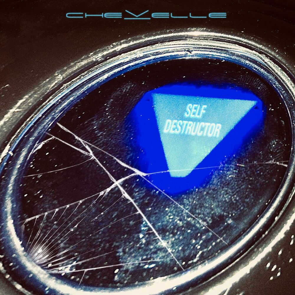 Self Destructor cover
