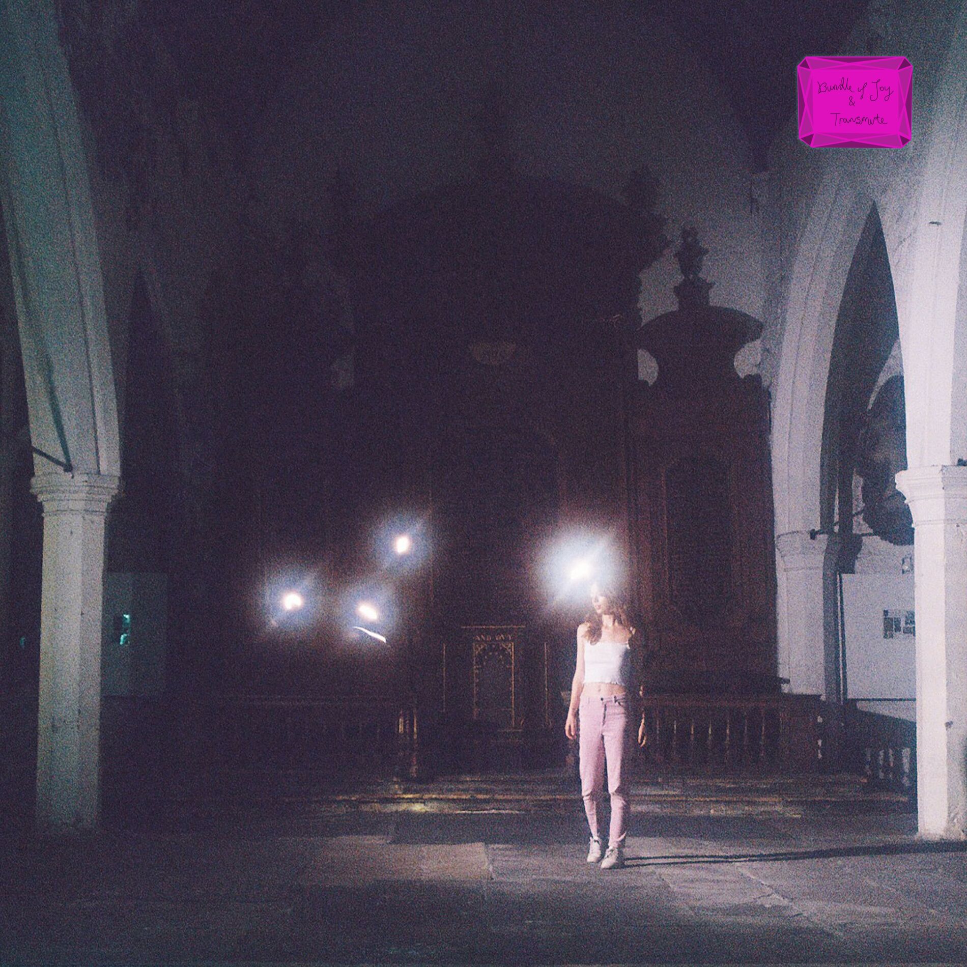Album cover of Bundle of Joy / Transmute