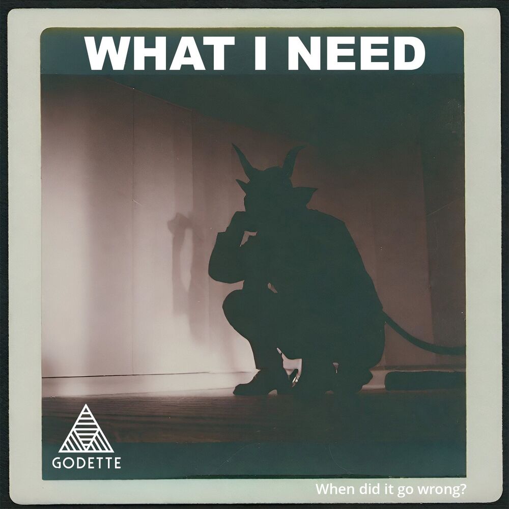 Picture of What I Need