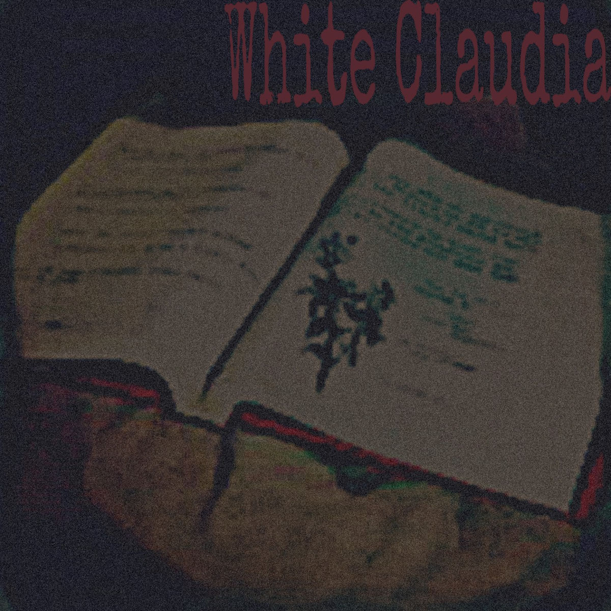 Album cover of White Claudia