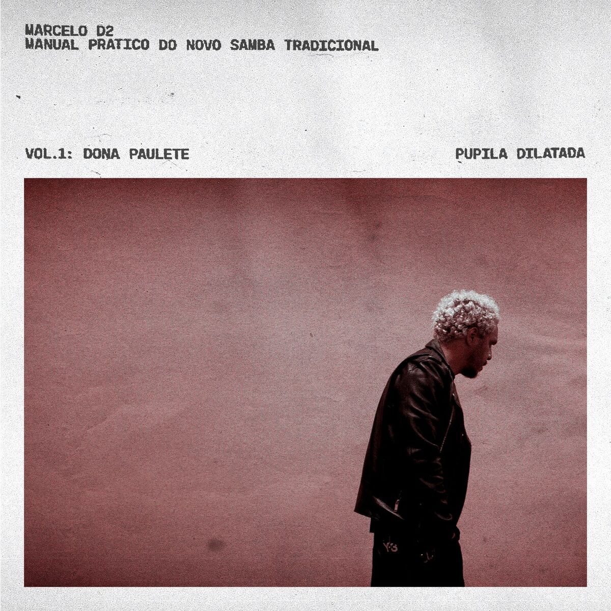 Album cover of Manual Prático Do Novo Samba Tradicional, Vol. 1: DONA PAULETE