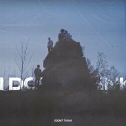 Cover of I Don't Think