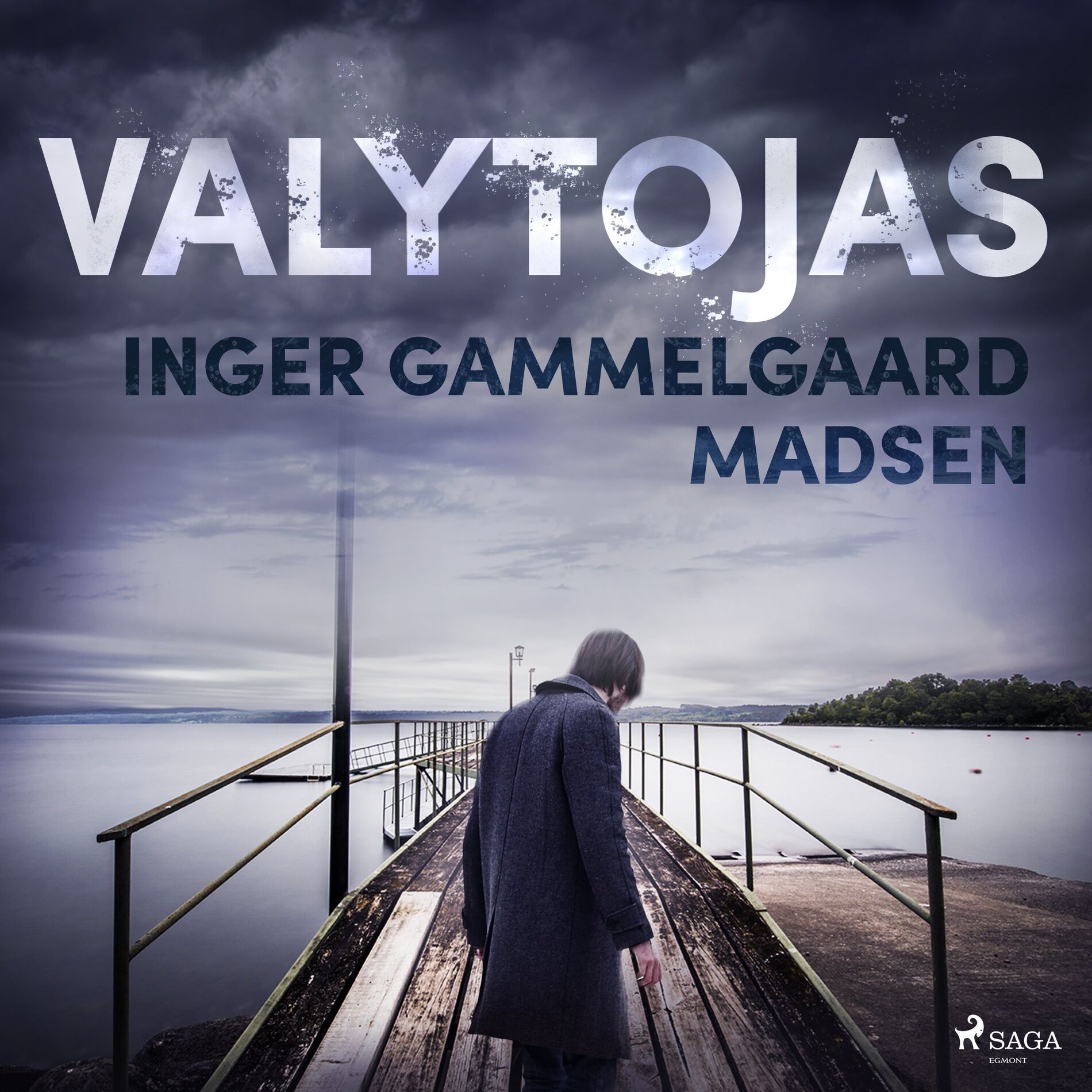 Album cover of Valytojas