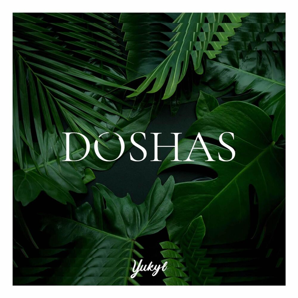 Picture of Doshas