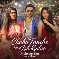 Cover of Mehsoos Kar by undefined