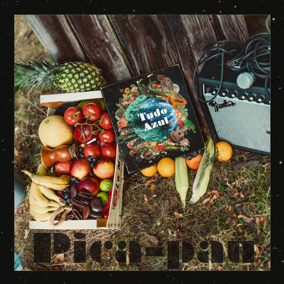 Album cover of Pica-pau