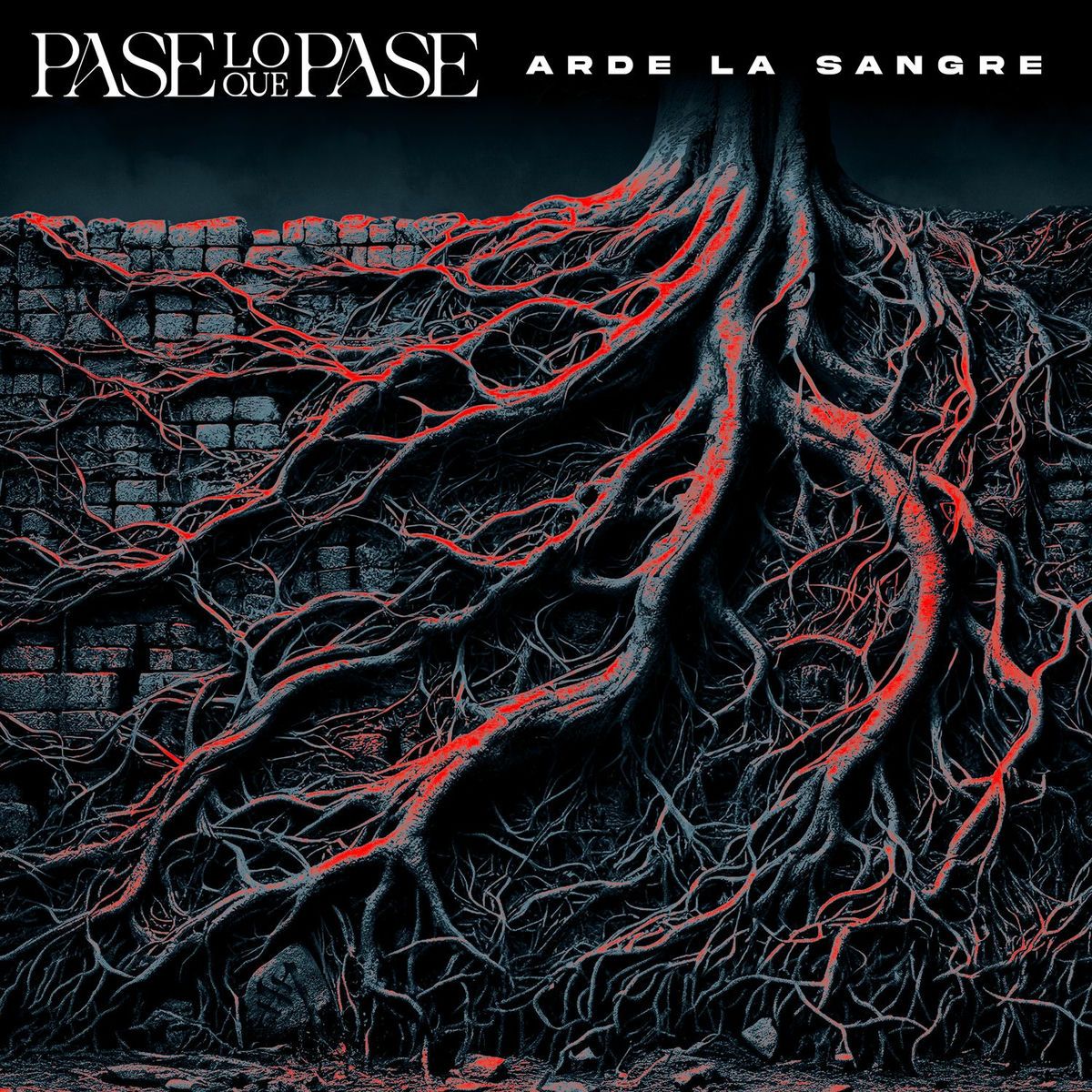 Album cover of Pase Lo Que Pase