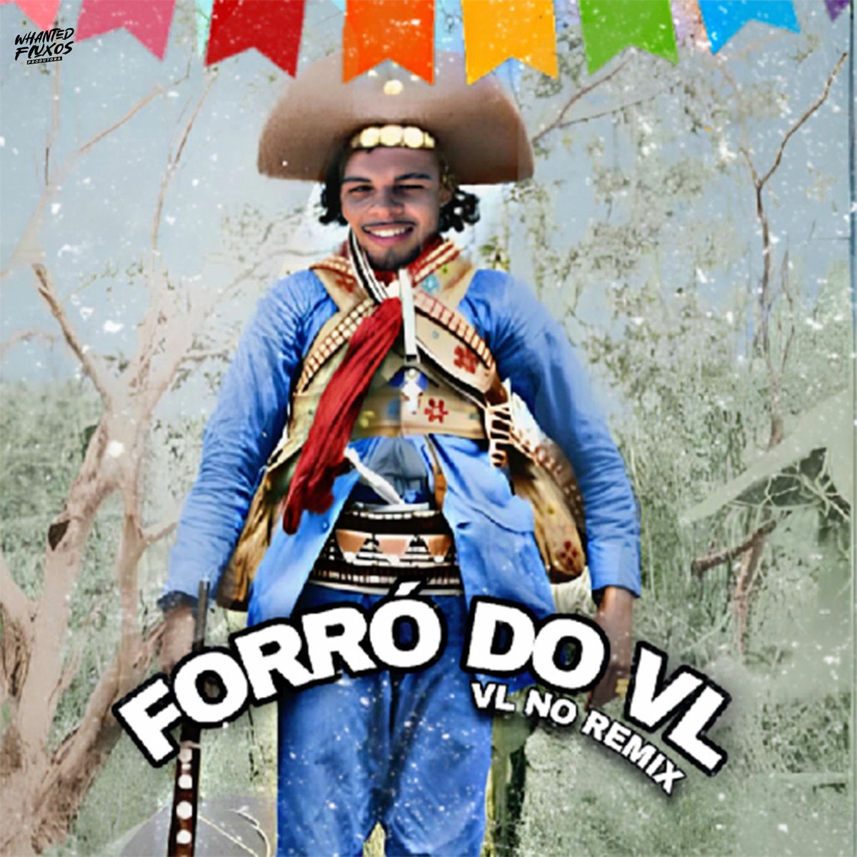 Album cover of Forró do VL