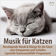 Musik für die entspannte Katze und Frauchen: Largo von Joh. S. Bach mit leichtem Bachrauschen