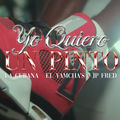 Yo Quiero Un Pinto
