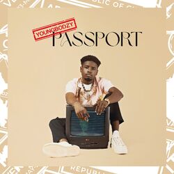 Cover of Passport