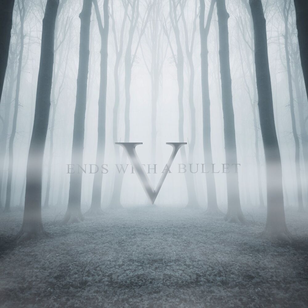 Picture of V