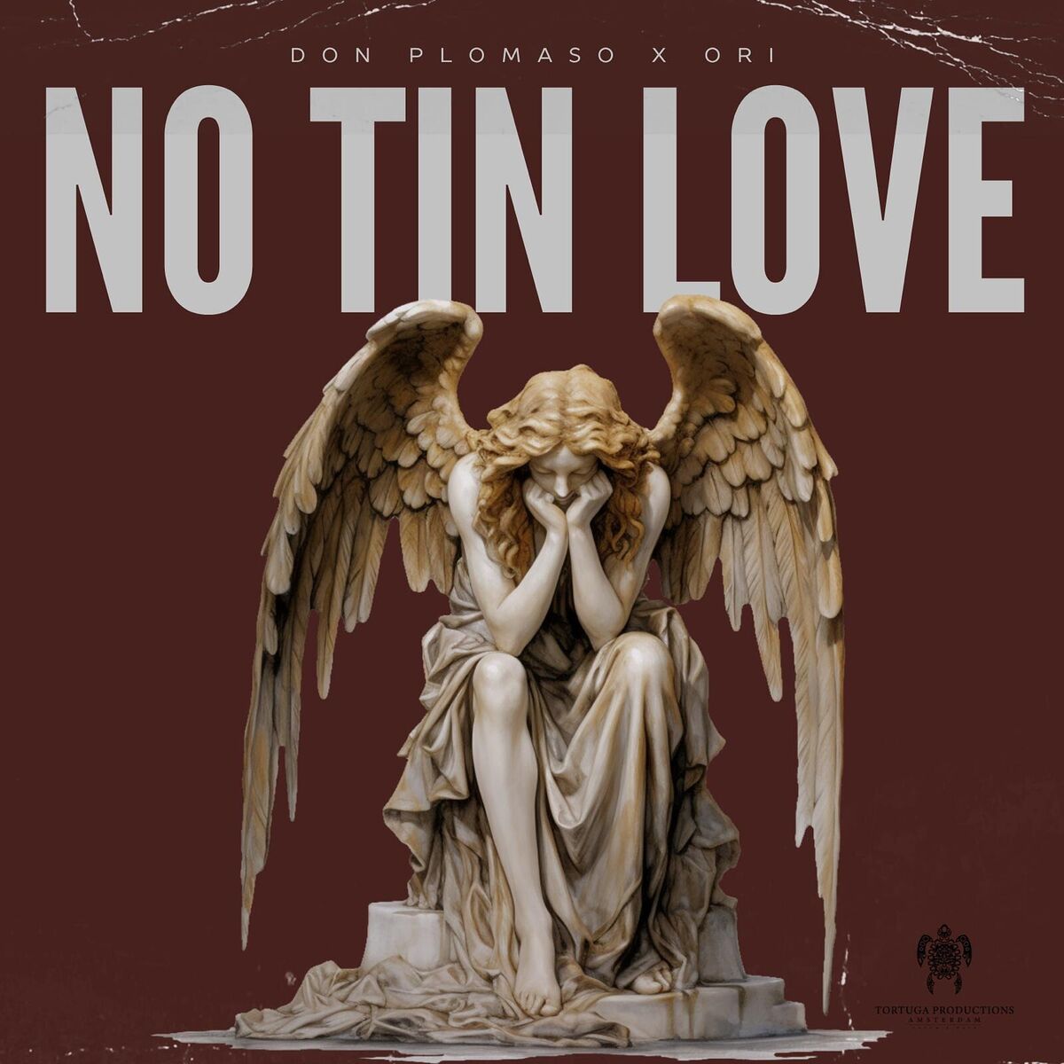 Album cover of No Tin Love