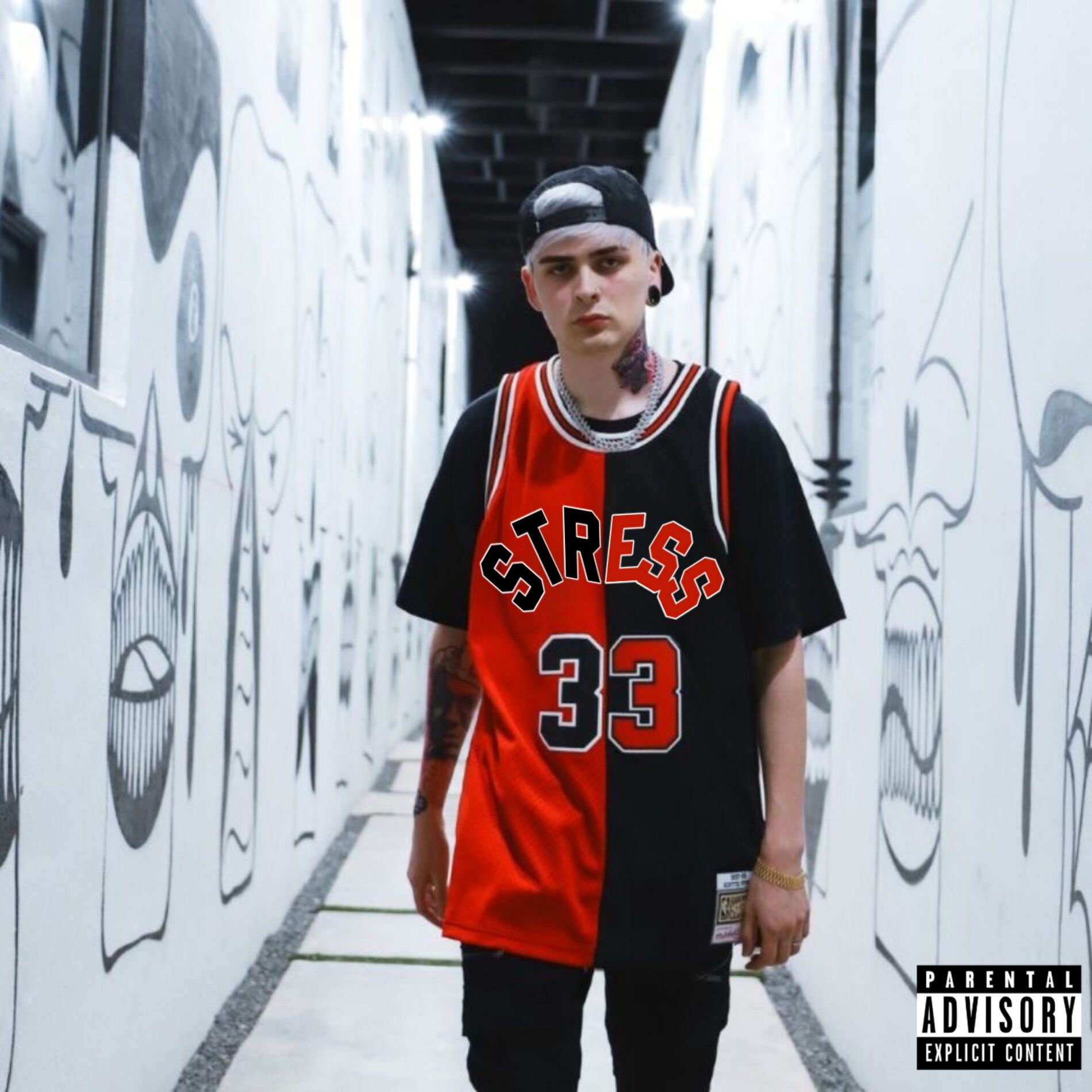Album cover of Stress