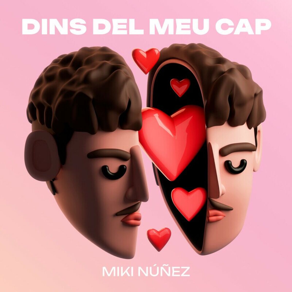 Album cover of Dins del meu cap