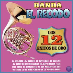 Cover of Los 12 Éxitos de Oro