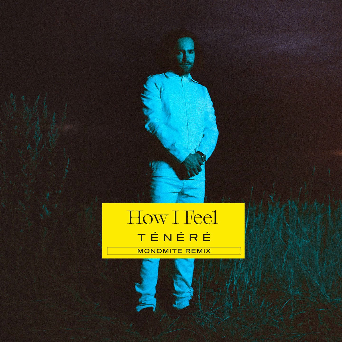 Album cover of How I Feel