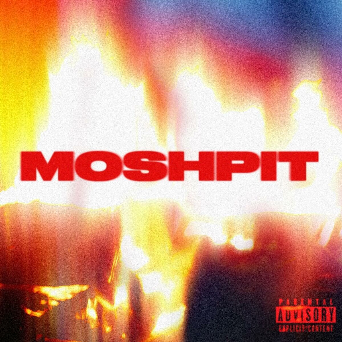 Album cover of MOSHPIT