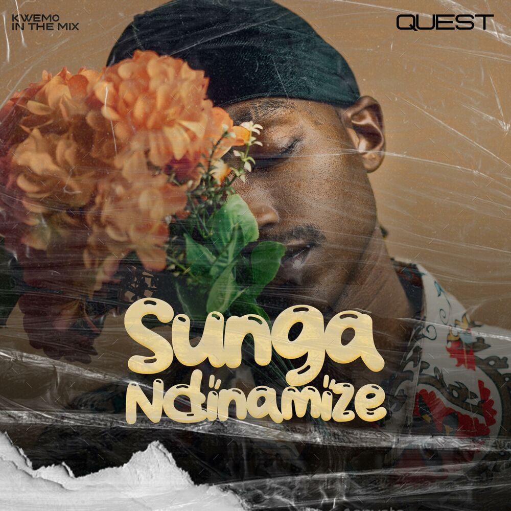 Picture of Sungandinamize